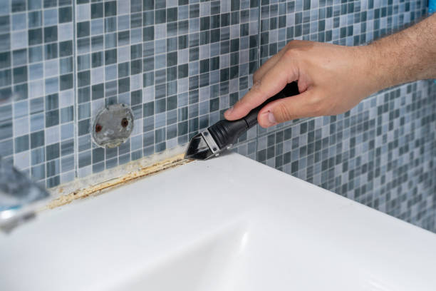 Best Residential Mold Removal  in Melcher Dallas, IA