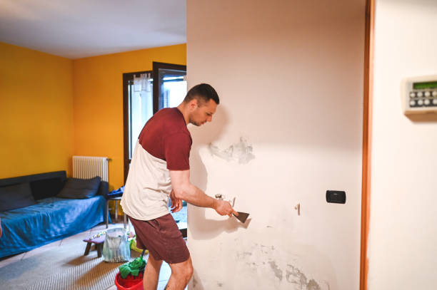 Mold Removal Process in Melcher Dallas, IA