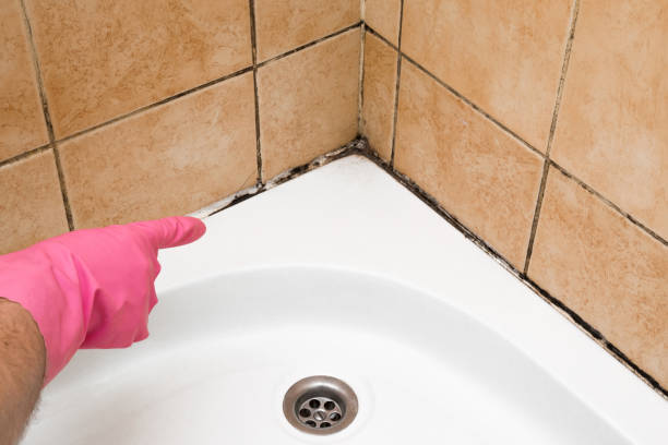 Best Emergency Mold Removal  in Melcher Dallas, IA